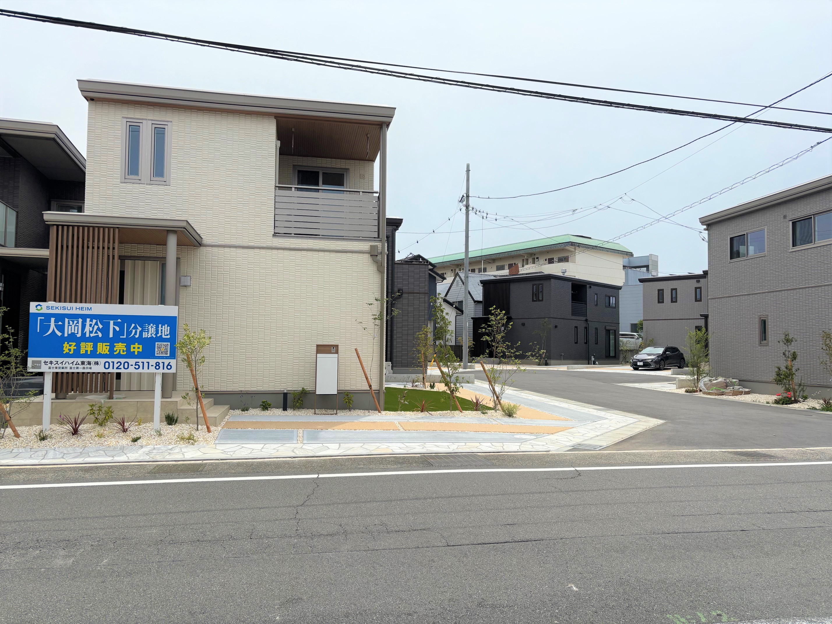 2025年5月19日撮影