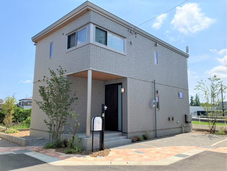 8号地　2025年6月20日撮影