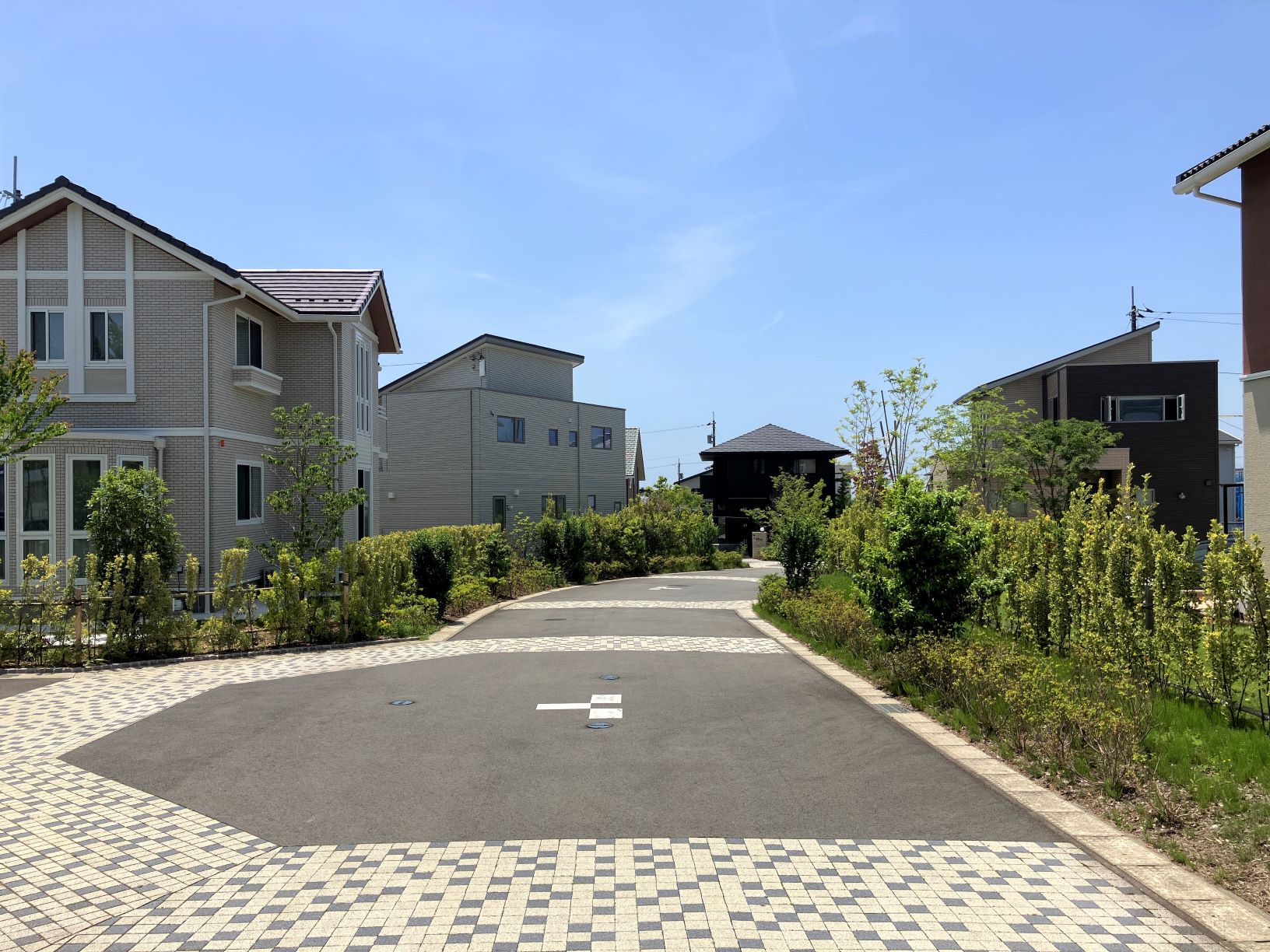 2024年５月19日撮影