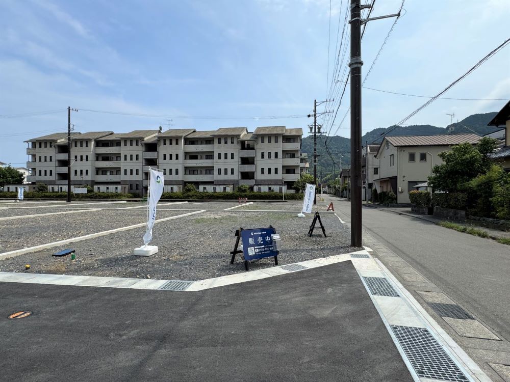 2025年6月29日撮影