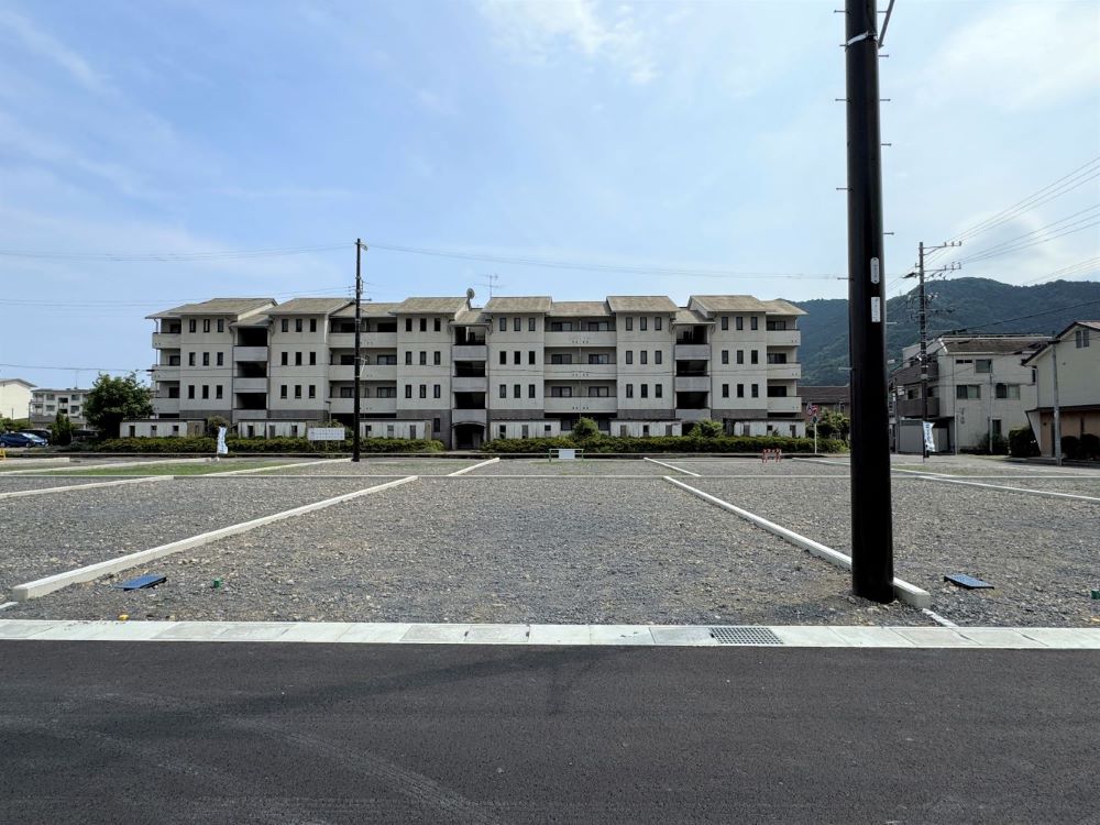 2025年6月29日撮影