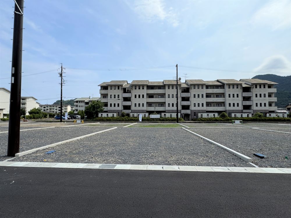 2025年6月29日撮影
