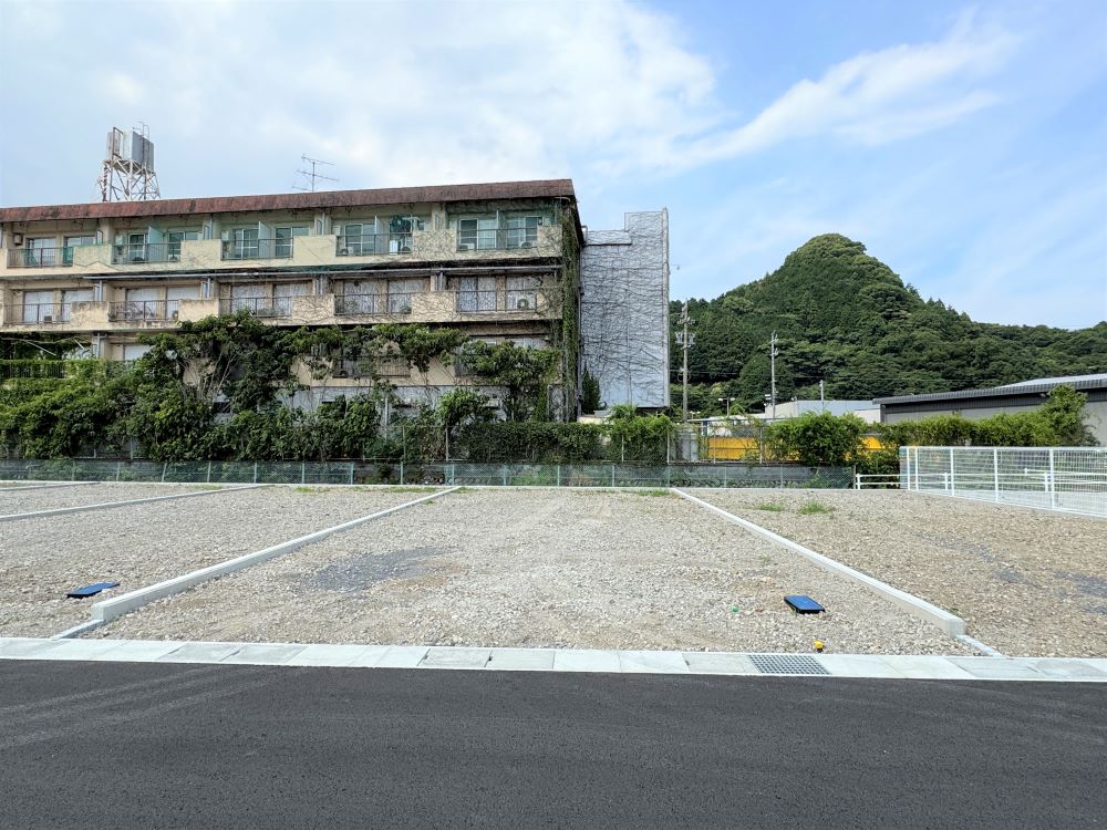 2025年6月29日撮影