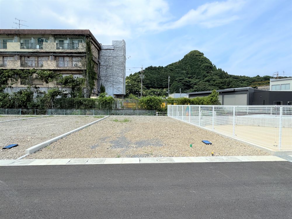 2025年6月29日撮影