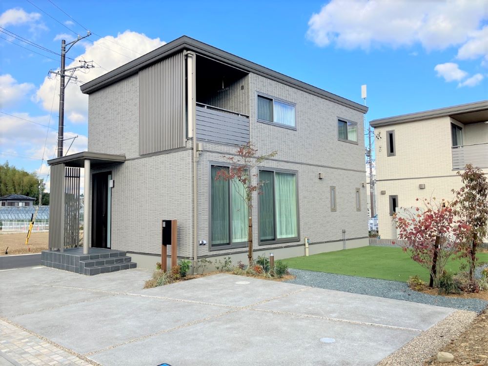 10号地2024年11月14日撮影