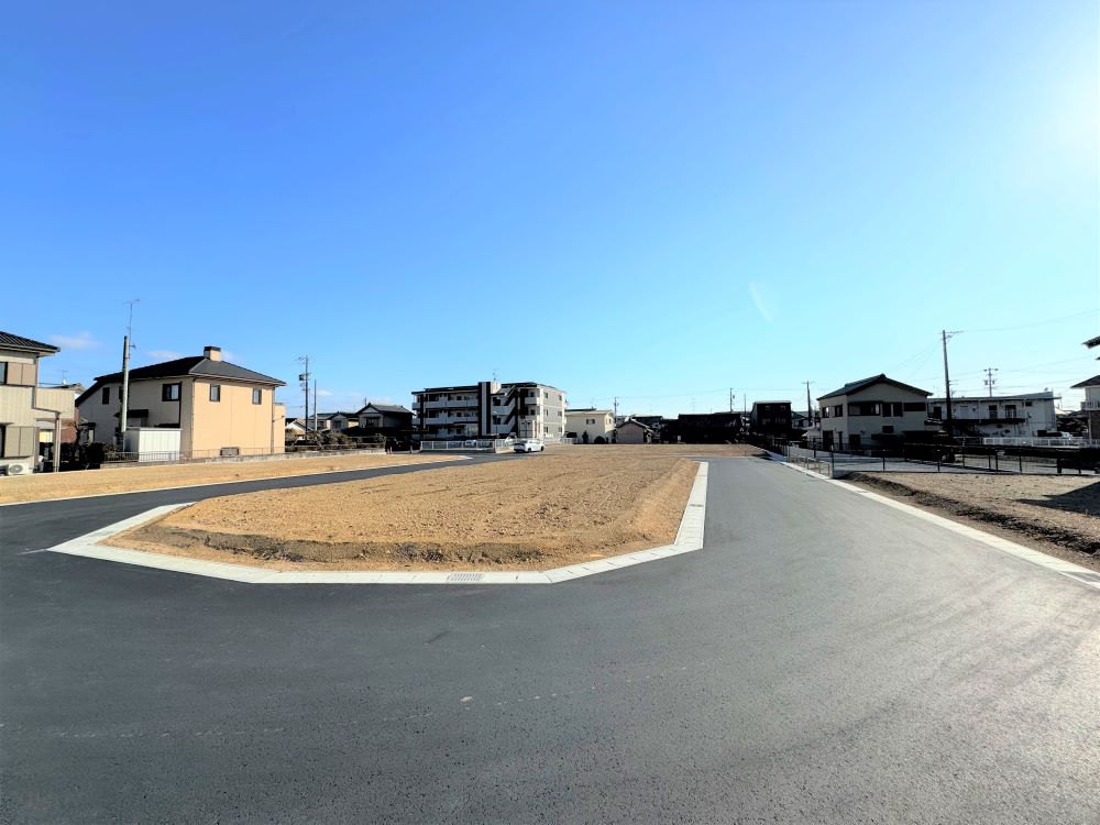2025年1月18日撮影