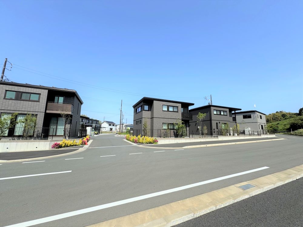 2025年5月3日撮影