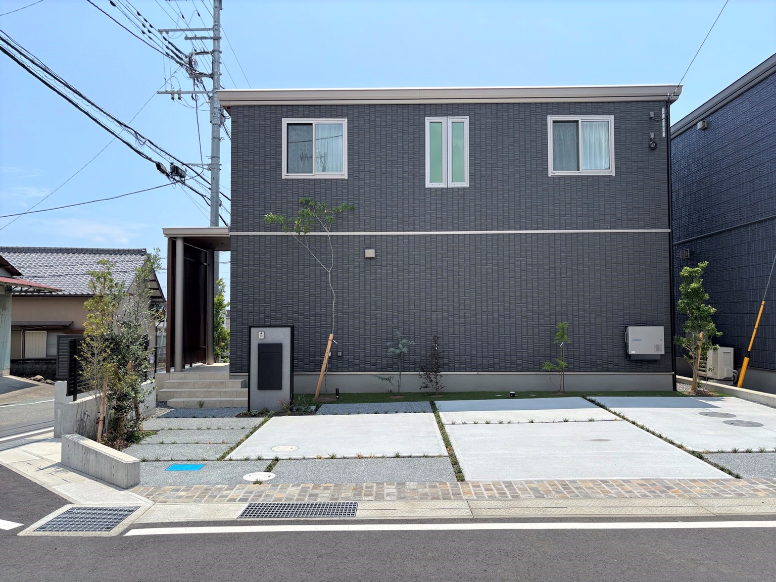 2025年7月3日撮影