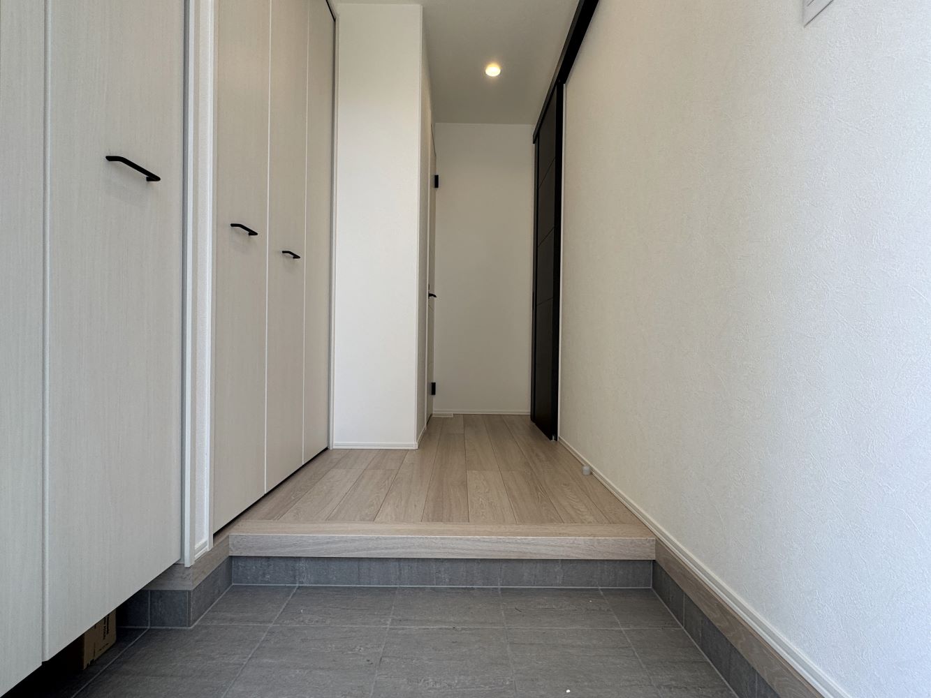 2025年7月18日撮影