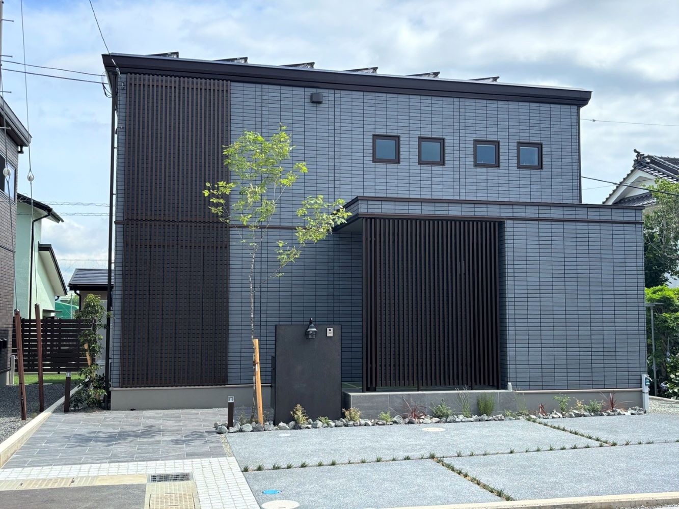 2025年7月11日撮影3号地
