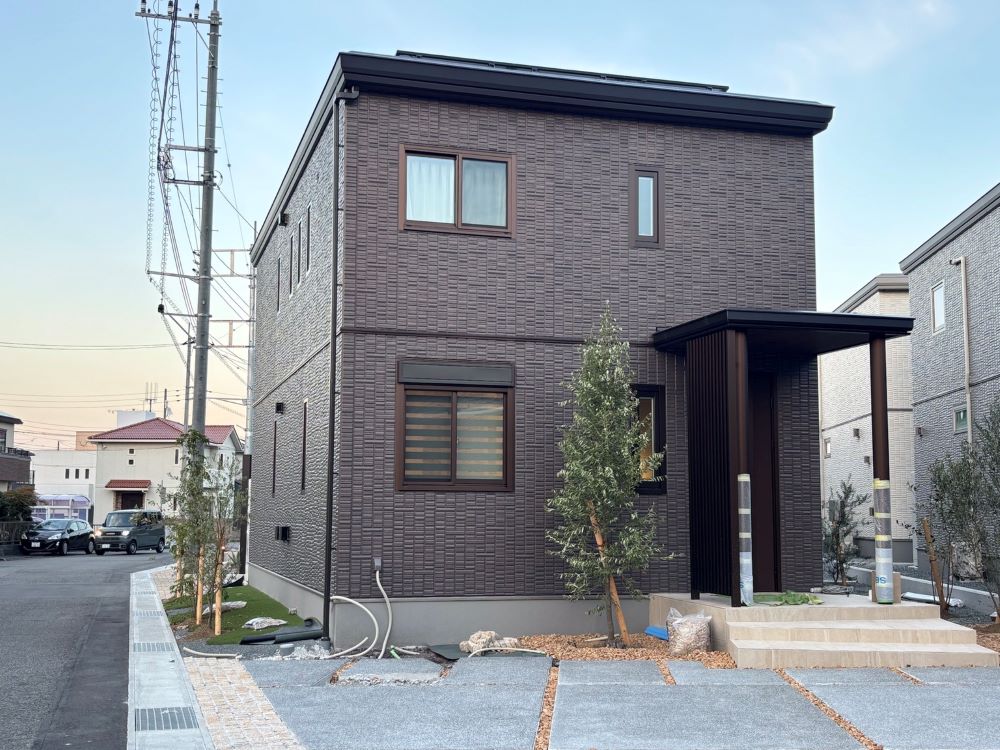 4号地　2025年7月28日撮影