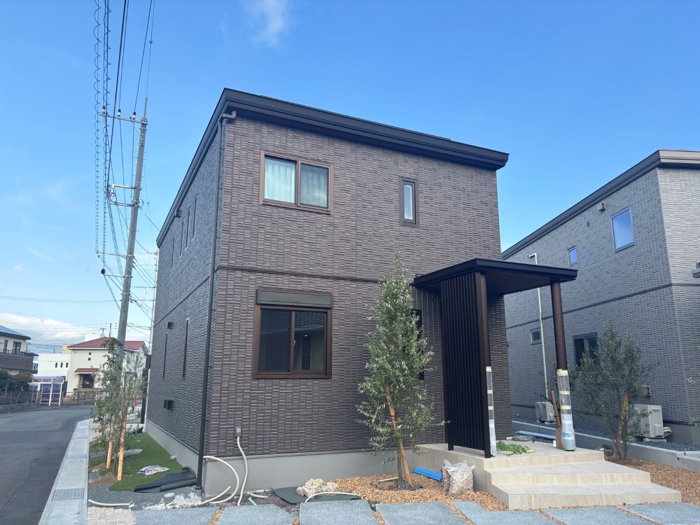 2025年7月28日撮影