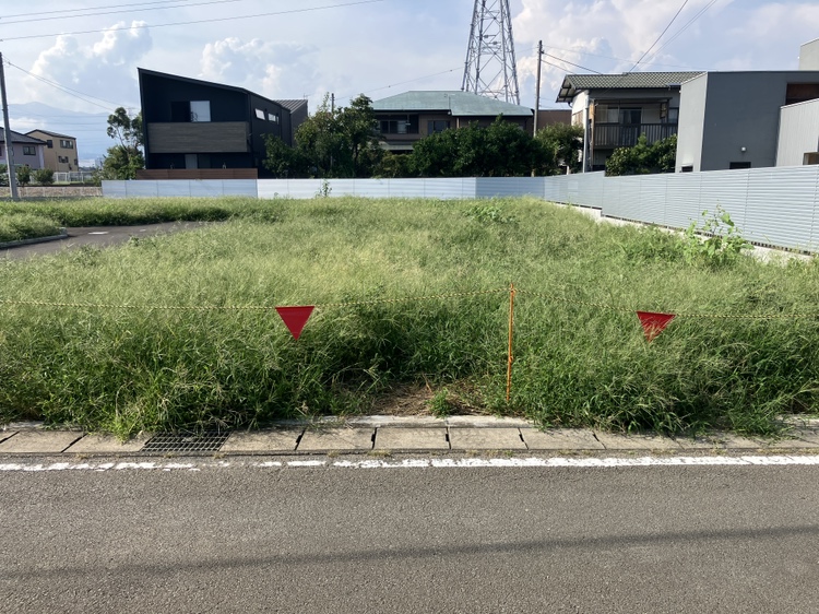 2025年8月18日撮影