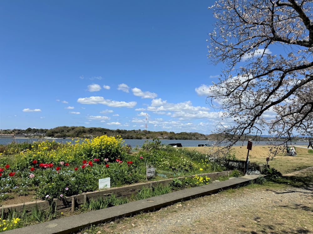佐鳴湖東岸４月撮影　佐鳴湖には四季を通して楽しめる美しい景観がある。