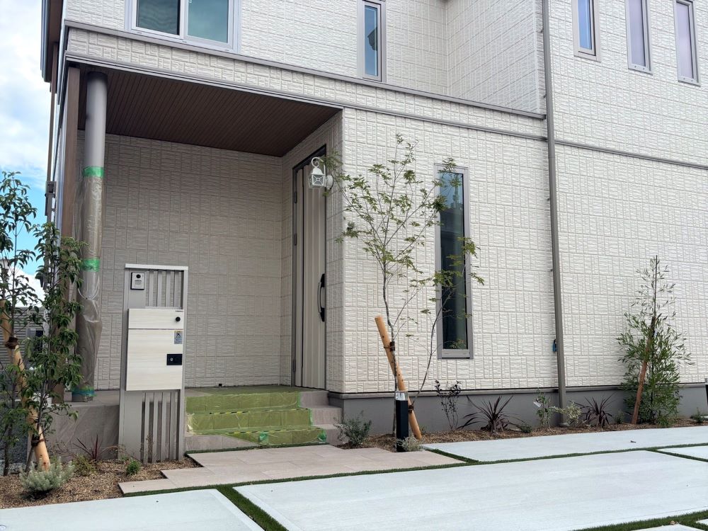 5号地