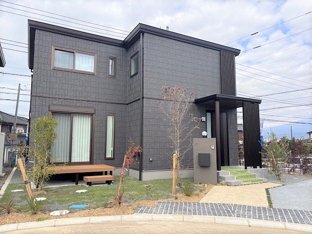 2025年11月８日撮影