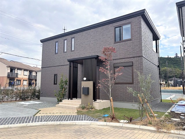 2025年11月8日撮影