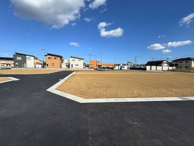 2025年11月10日撮影