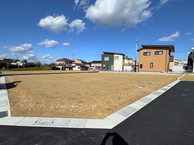 2025年11月9日撮影