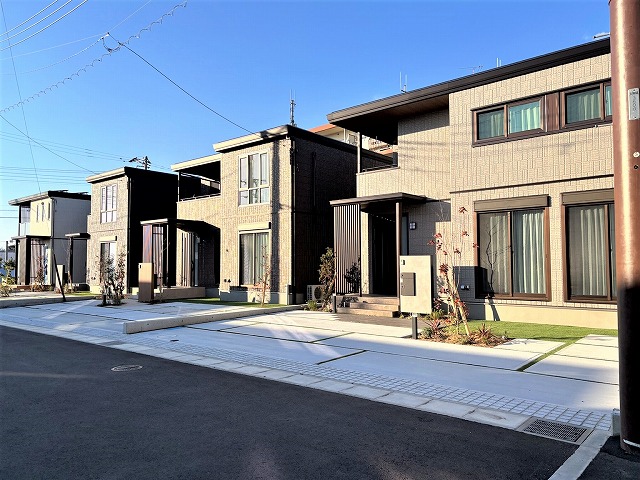 2025年11月21日撮影