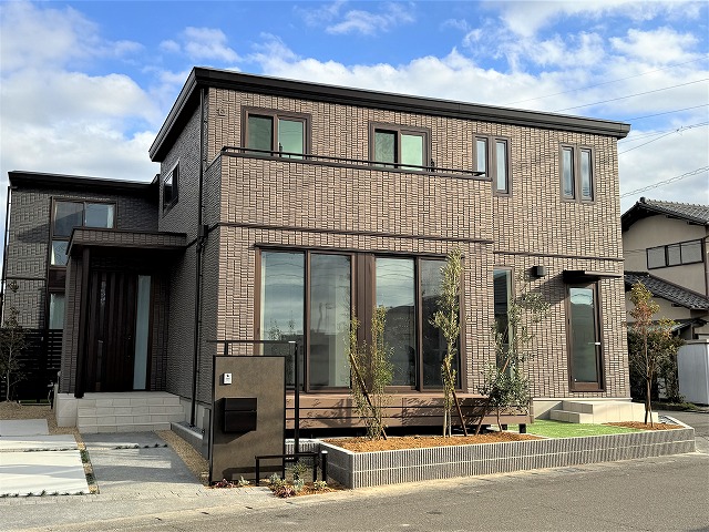 3号地2025年12月6日撮影