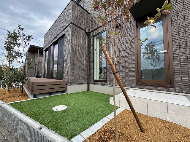 3号地2025年12月6日撮影