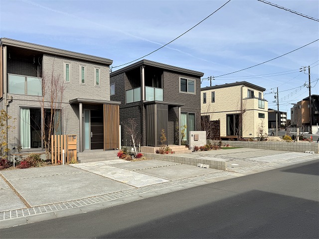 2026年1月26日撮影