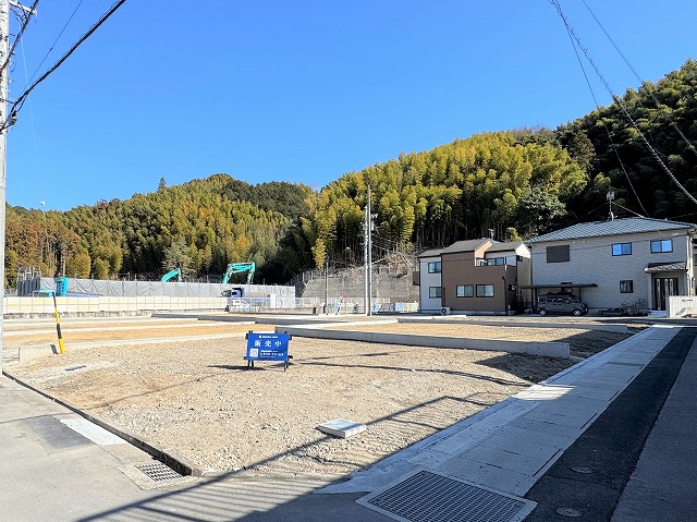 2026年2月9日撮影