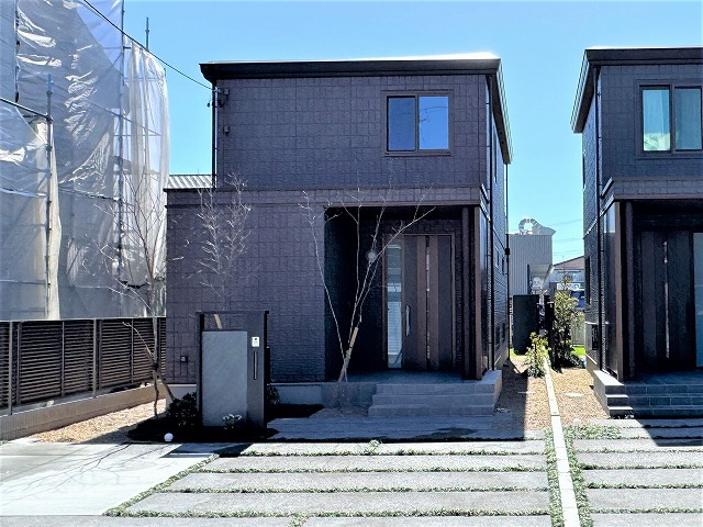 2026年3月14日撮影