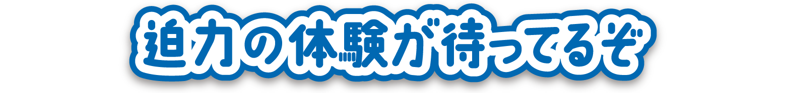 迫力の体験が待ってるぞ