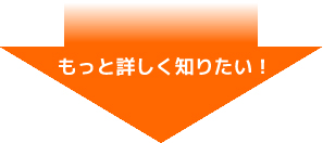 地震保険についてもっと詳しく知りたい！