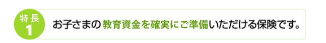 特徴1 お子さまの教育資金を確実にご準備いただける保険です。