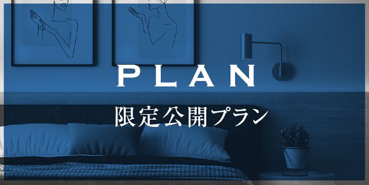 PLAN 限定公開プラン