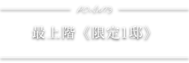 POINT3 最上階《限定2邸》